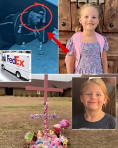 New Developments in the Case of Athena Strand Draw Renewed Attention and Public Reaction