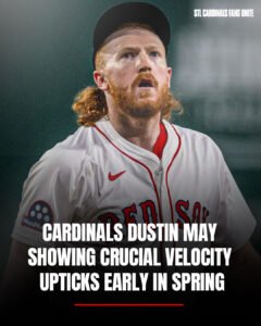 Cardinals’ Dustin May showing crucial velocity upticks early in spring