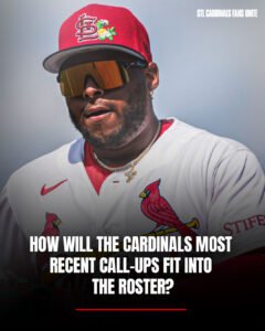 How will the Cardinals most recent call-ups fit into the roster?