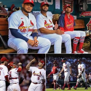 BREAKING: The legendary Cardinals trio are set to reunite in an unprecedented role – Pujols, Molina, and Wainwright write the “final chapter” of a golden era.