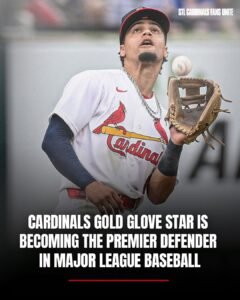 Cardinals Gold Glove star is becoming the premier defender in Major League Baseball