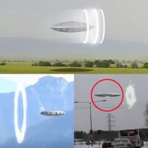 The Presence of Unidentified Objects: An Affirmation of a Different Reality